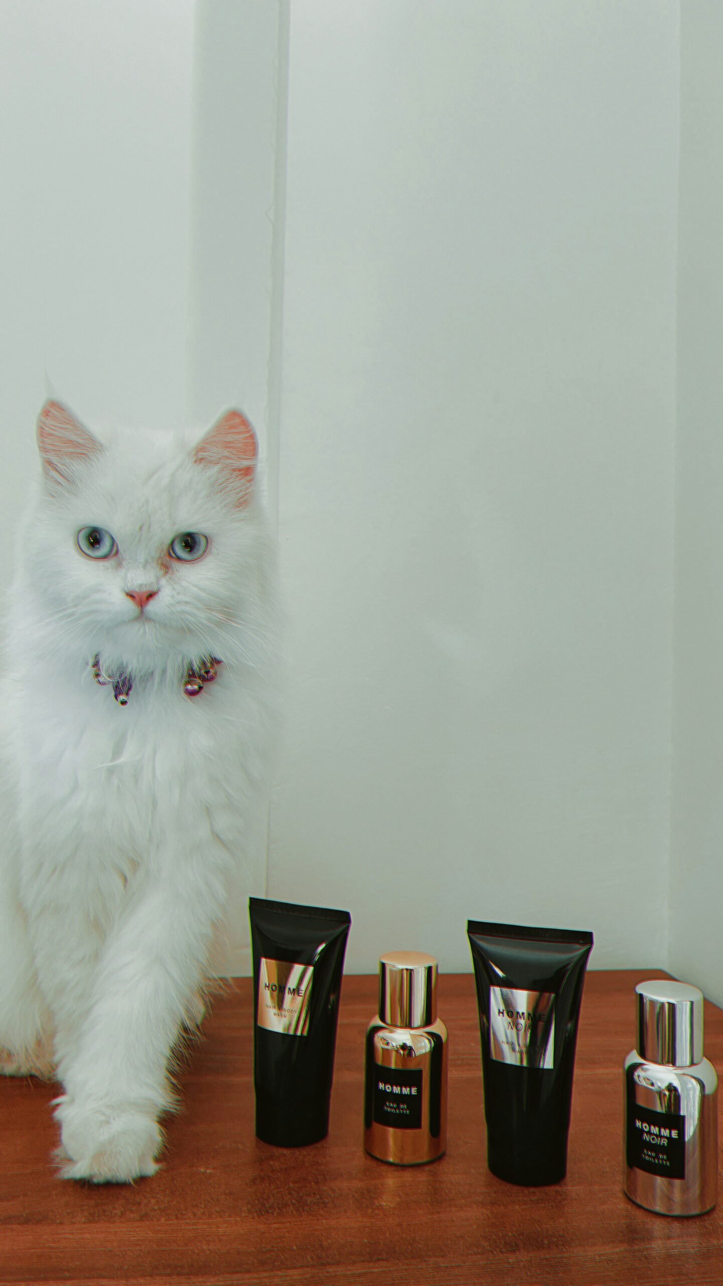 white cat on brown wooden table